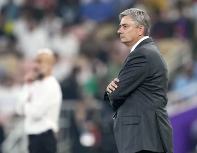 Miniatura: To może być wielki powrót na ławkę...