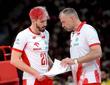 Miniatura: Nikola Grbić ujawnił prawdę. Kibice...