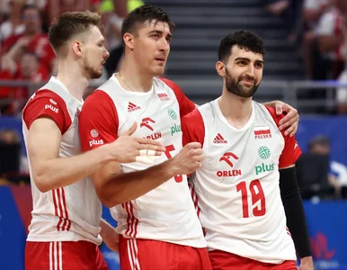 Miniatura: Polscy siatkarze z nowymi przeciwnikami....