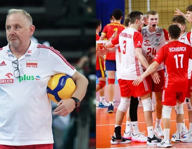 Miniatura: Polska siatkówka się nie zatrzymuje....