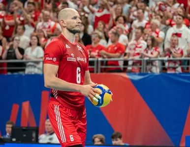 Miniatura: 14 wybrańców Nikoli Grbicia. To oni...