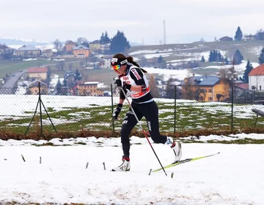 Miniatura: Kowalczyk wycofa się z Tour de Ski?