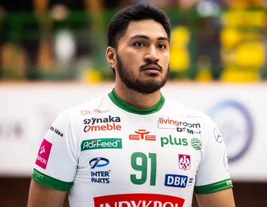 Miniatura: Reprezentant USA docenił rozwój polskiej...