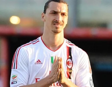 Miniatura: Kapitan reprezentacji Szwecji: nasi rywale...