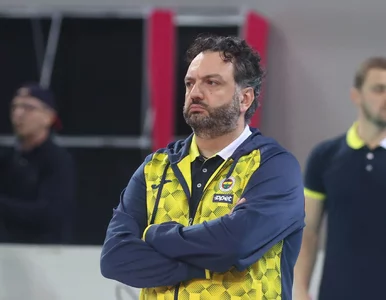 Miniatura: Tak wygląda relacja Stefano Lavariniego z...