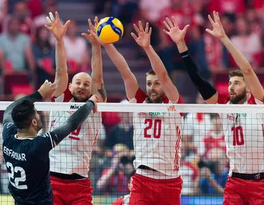 Miniatura: Rozbrajająca szczerość polskiego...