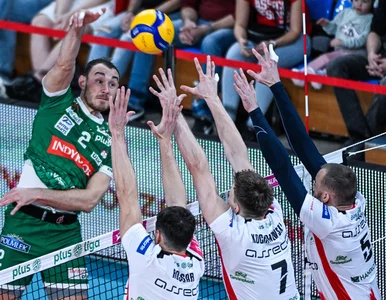 Miniatura: Czołowy zawodnik PlusLigi wraca do pełni...