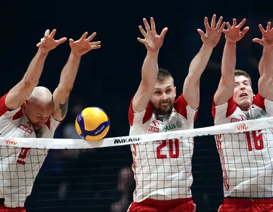 Miniatura: Biało-Czerwoni rozgromieni w meczu Polska...