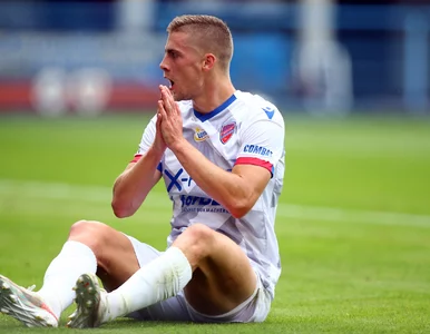 Miniatura: Z podniesionymi głowami przywitają...