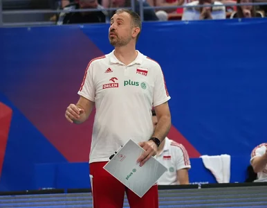 Miniatura: Nikola Grbić „uderzył” reprezentanta...