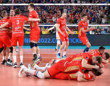 Miniatura: Wymagający quiz dla fanów siatkówki. Jeśli...