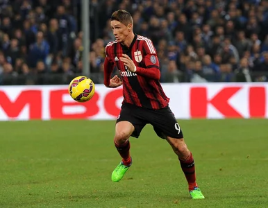 Miniatura: Torres wróci tam, gdzie rozpoczął karierę?