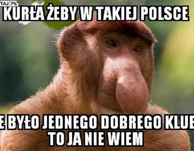 Miniatura: Kolejny blamaż Legii Warszawa. Internauci...