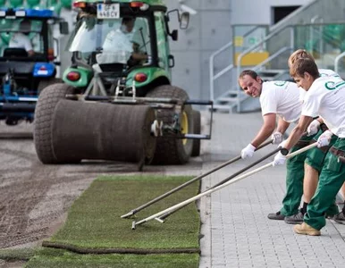 Miniatura: Narodowy będzie miał nową murawę. Z Holandii